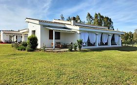 B&B Briosa
